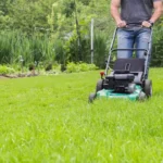 When to Mow Seeded Grass: Best Time and Tips for a Healthy Lawn