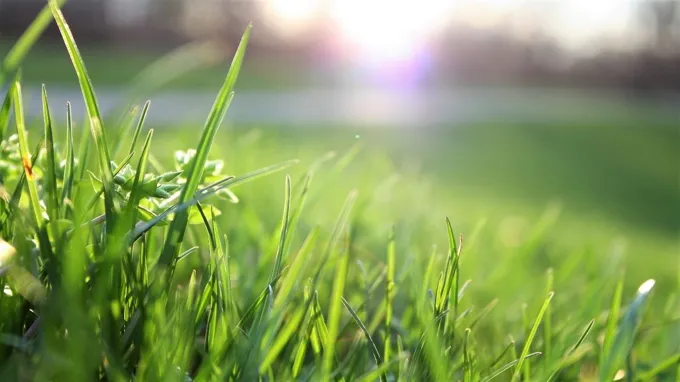 when to overseed in michigan