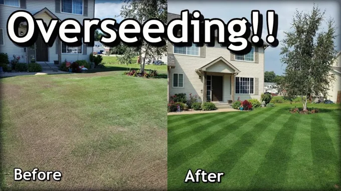 when to overseed in ohio