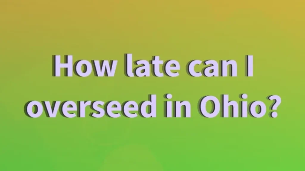 When to Overseed in Ohio to Ensure a Lush and Healthy Lawn