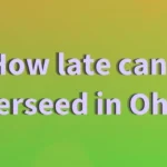 When to Overseed in Ohio to Ensure a Lush and Healthy Lawn