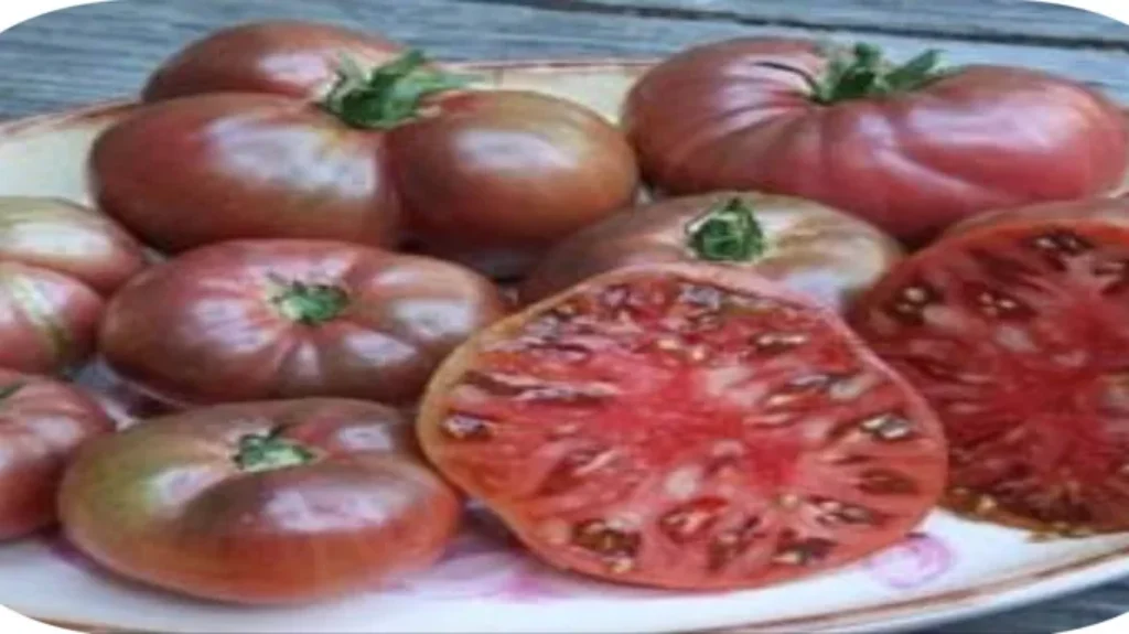 When to Pick Purple Cherokee Tomatoes for Maximum Flavor and Freshness