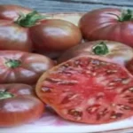 When to Pick Purple Cherokee Tomatoes for Maximum Flavor and Freshness