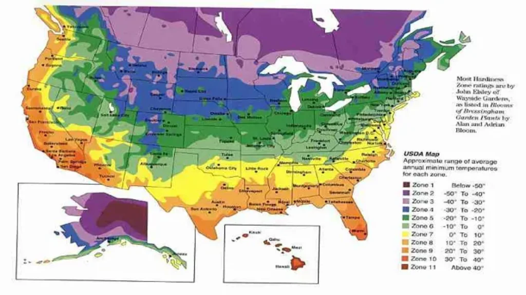 When to Plant Bulbs in Zone 5b for a Beautiful Spring Garden