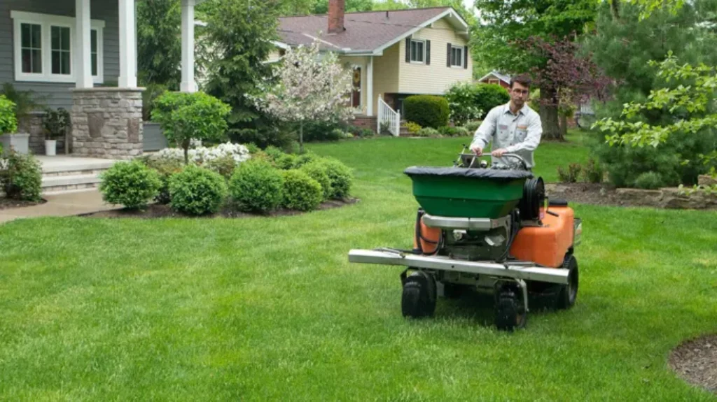 When to Plant Grass Seed in Oklahoma for a Lush Green Lawn