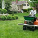 When to Plant Grass Seed in Oklahoma for a Lush Green Lawn