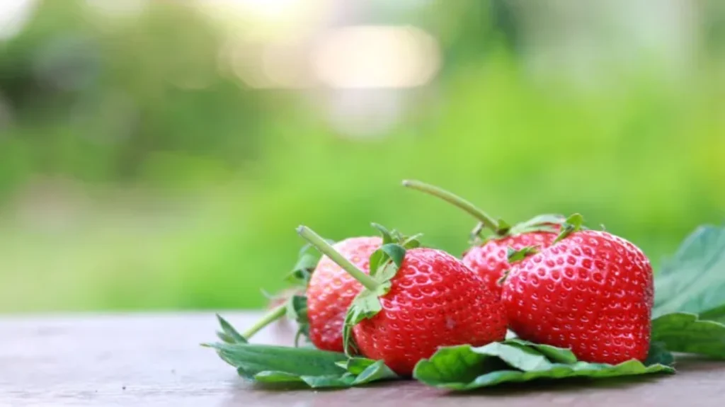 When to Plant Strawberries in Illinois for a Successful Harvest