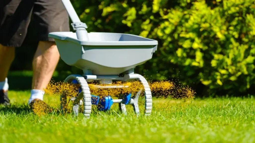 When to Seed After Weed and Feed: Best Timing Tips for Your Lawn