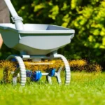 When to Seed After Weed and Feed: Best Timing Tips for Your Lawn