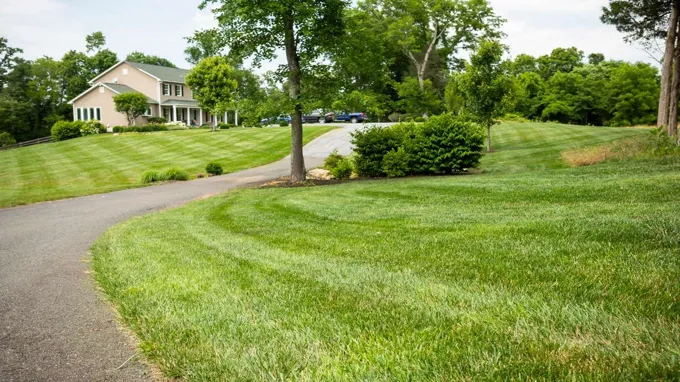 when to seed grass in virginia