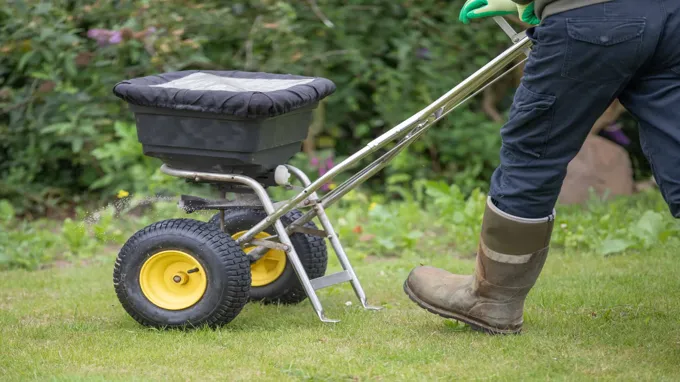 when to seed lawn in ny