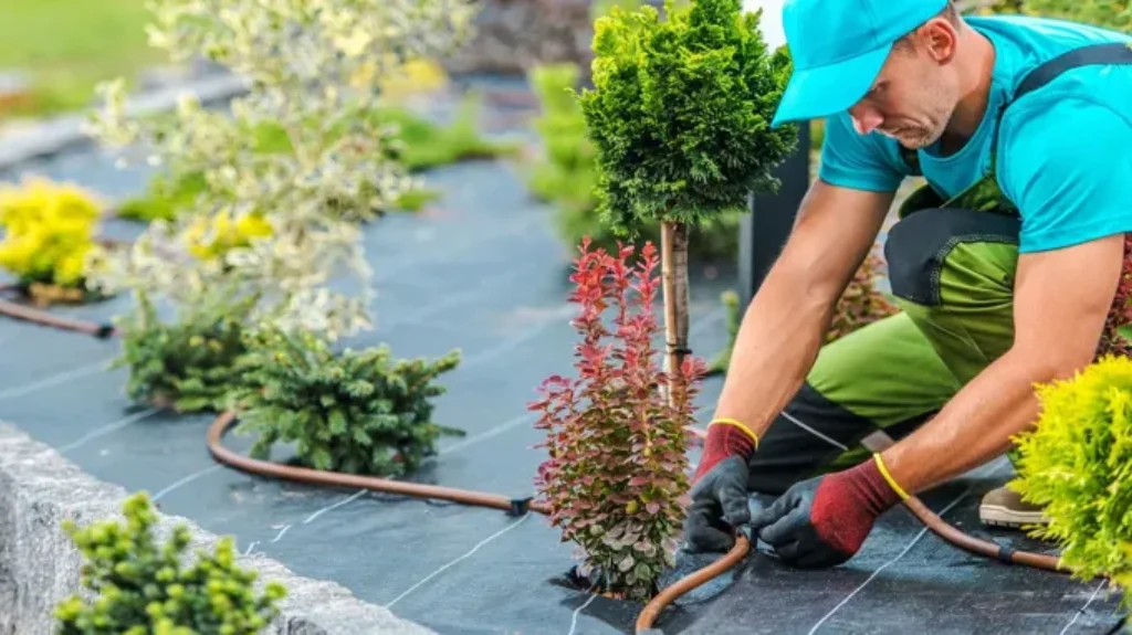 When to Start Landscaping in the Spring: A Beginner’s Guide to Gardening Success