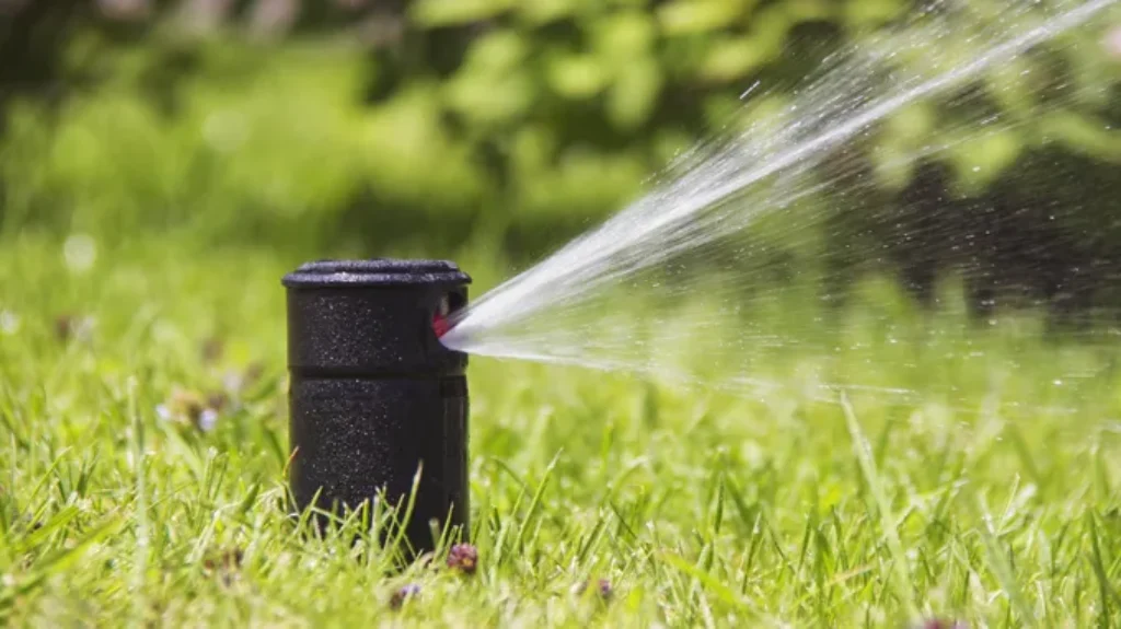 When to Turn on Lawn Sprinkler System for a Lush Garden: Tips and Timings