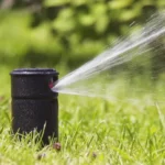 When to Turn on Lawn Sprinkler System for a Lush Garden: Tips and Timings