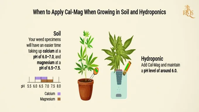 when to use cal-mag in soil