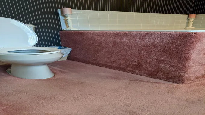 when was carpet in bathrooms popular