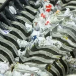 When Was the Paper Shredder Invented: A Brief History and Timeline